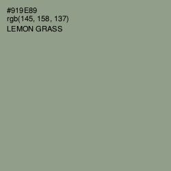 #919E89 - Lemon Grass Color Image